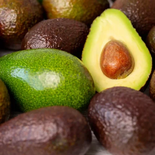 Avocado