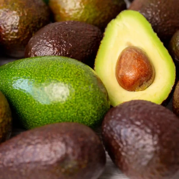 Avocado