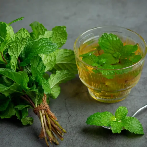Tulsi Honey - Image 2